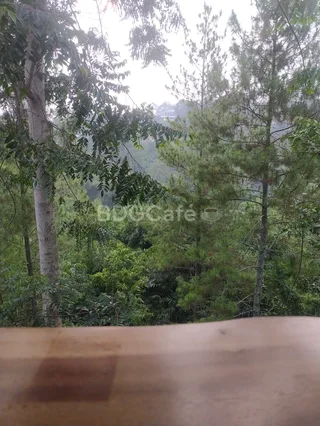 Classico Coffee & Bake